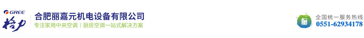 合肥麗嘉元機電設備有限公司